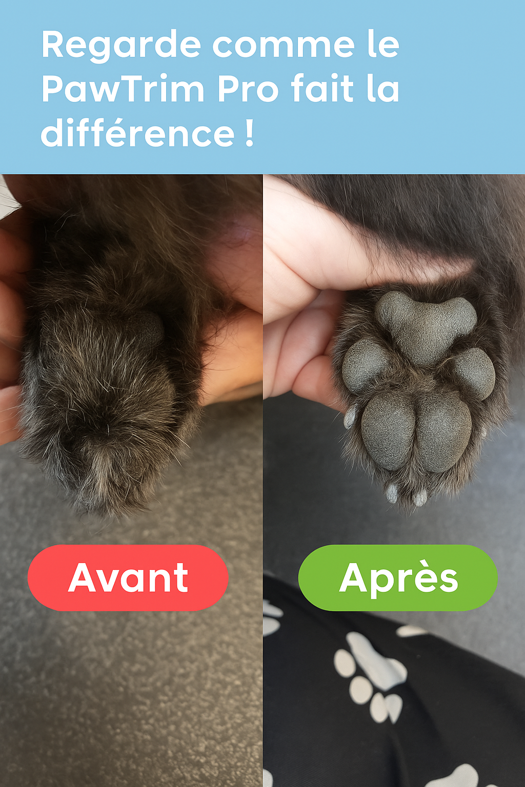 Tondeuse pour Chiens avec Lumière LED – Étanche & Lame Large 18 mm