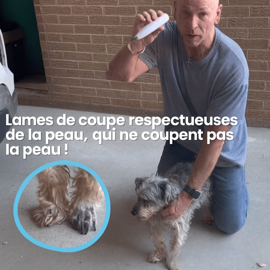 Tondeuse pour Chiens avec Lumière LED – Étanche & Lame Large 18 mm